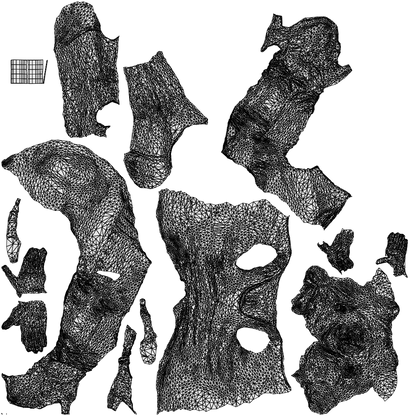 3D scanned senior woman sitting casual, photorealistic archviz people for Enscape and SketchUp, wireframe top-down view