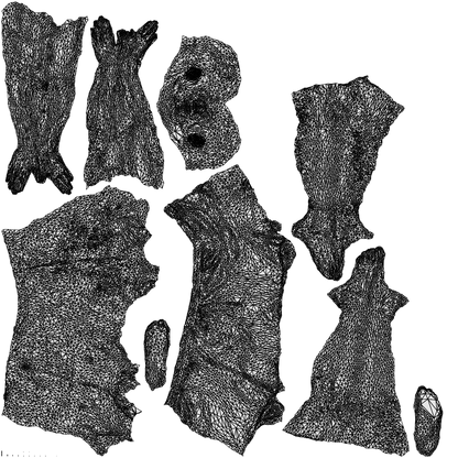 3D people model man pool, scanned human for 3ds Max rendering, wireframe top-down view