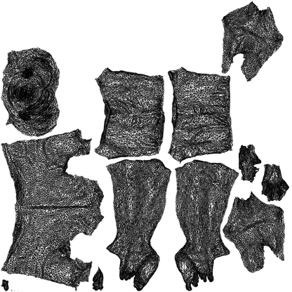 scanned 3D man pool, photogrammetry people for Enscape and V-Ray, wireframe top-down view