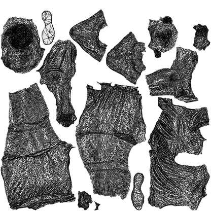 3D human model woman sport, photogrammetry scanned person for archviz, wireframe top-down view