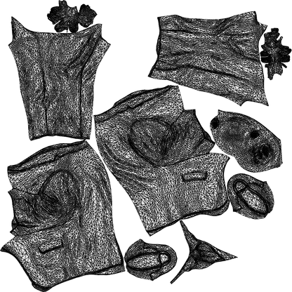 realistic 3D person business shopping, scanned archviz people for Blender and 3ds Max, wireframe top-down view