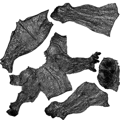 3D people model man pool, scanned human for 3ds Max rendering, wireframe top-down view