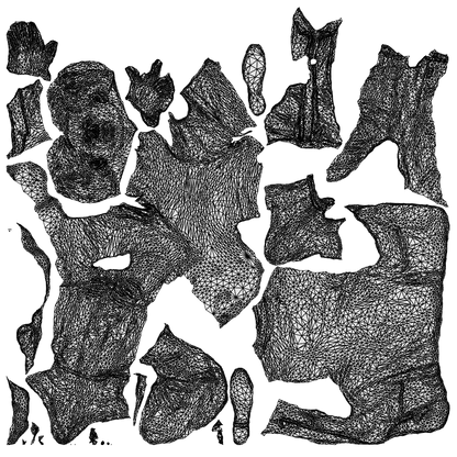 3D people model man business, scanned human for 3ds Max rendering, wireframe top-down view