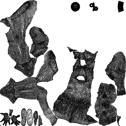 scanned 3D girl casual kids, photogrammetry people for Enscape and V-Ray, wireframe top-down view