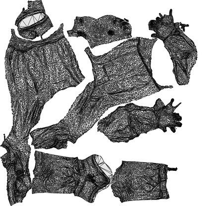 3D scanned man standing, photorealistic archviz people for Enscape and SketchUp, wireframe top-down view