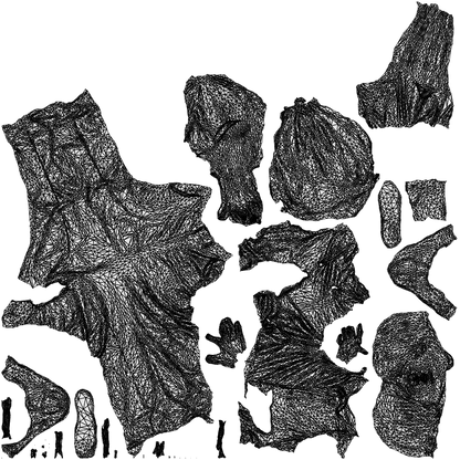 3D people model boy kids, scanned human for 3ds Max rendering, wireframe top-down view
