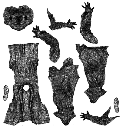 realistic 3D people man business, render-ready for V-Ray and Corona, FBX OBJ, wireframe top-down view