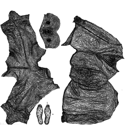 photogrammetry 3D man business, realistic human model archviz FBX, wireframe top-down view