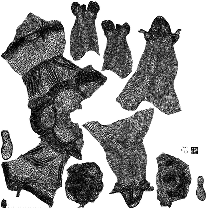 scanned 3D girl casual cycling, photogrammetry people for Enscape and V-Ray, wireframe top-down view