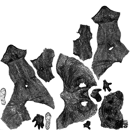 realistic 3D people woman sport, render-ready for V-Ray and Corona, FBX OBJ, wireframe top-down view