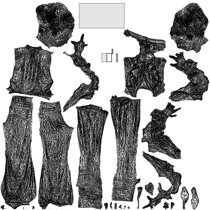3D human model woman casual standing, photogrammetry scanned person for archviz, wireframe top-down view