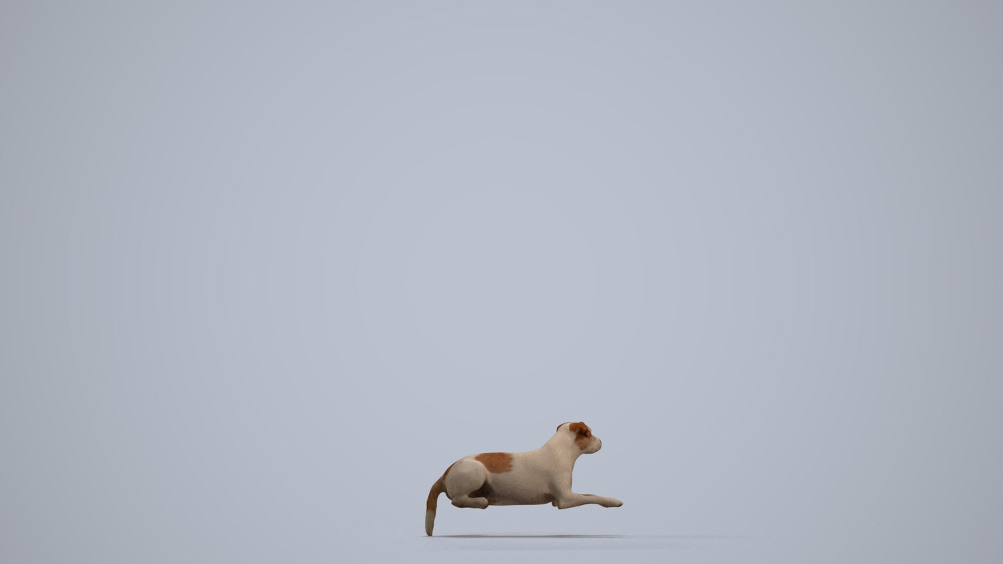 3D human model person casual misc, photogrammetry scanned person for archviz, front view render
