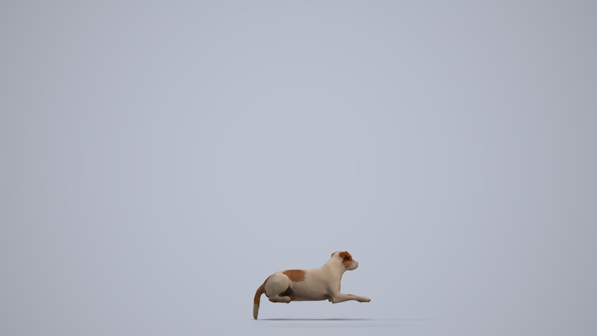 3D human model person casual misc, photogrammetry scanned person for archviz, front view render