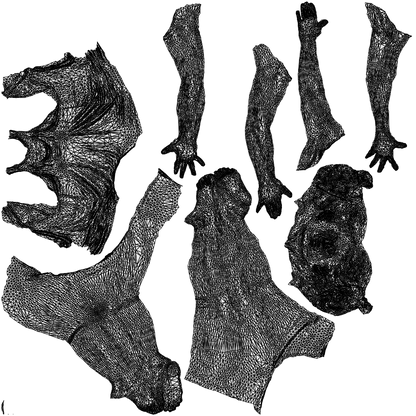 realistic 3D people woman sport, render-ready for V-Ray and Corona, FBX OBJ, wireframe top-down view