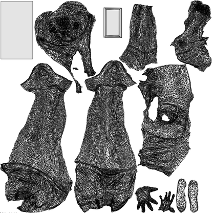 photogrammetry 3D woman casual standing, realistic human model archviz FBX, wireframe top-down view