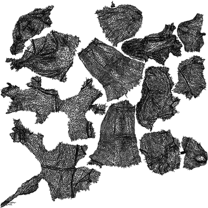 3D people model woman casual walking, scanned human for 3ds Max rendering, wireframe top-down view