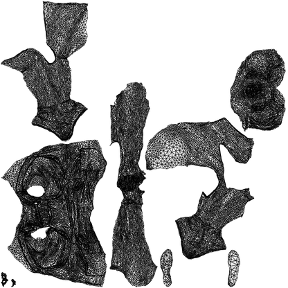realistic 3D woman casual sitting, scanned archviz people for Blender and 3ds Max, wireframe top-down view