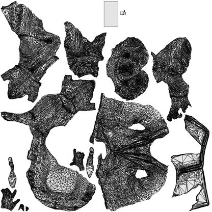 photogrammetry 3D woman business, realistic human model archviz FBX, wireframe top-down view