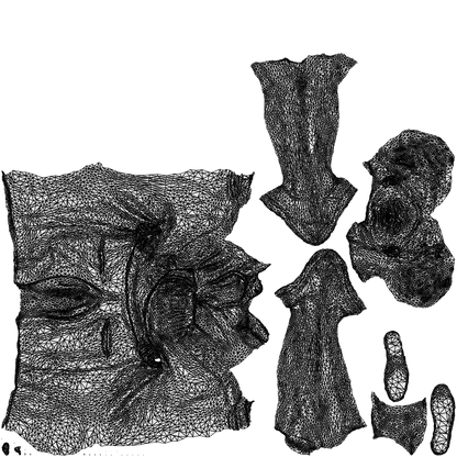 3D people model woman casual standing, scanned human for 3ds Max rendering, wireframe top-down view