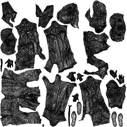 3D people model girl kids, scanned human for 3ds Max rendering, wireframe top-down view