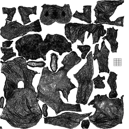 3D people model girl casual kids, scanned human for 3ds Max rendering, wireframe top-down view