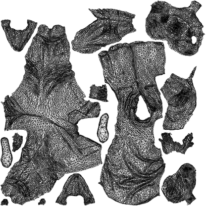 realistic 3D people woman casual standing, render-ready for V-Ray and Corona, FBX OBJ, wireframe top-down view