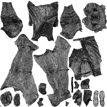 scanned 3D woman casual cycling, photogrammetry people for Enscape and V-Ray, wireframe top-down view