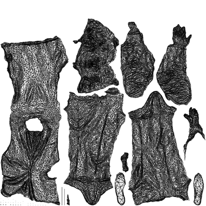 3D human model man formal formalaffairs, photogrammetry scanned person for archviz, wireframe top-down view