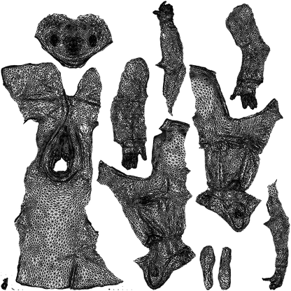 realistic 3D man business, scanned archviz people for Blender and 3ds Max, wireframe top-down view