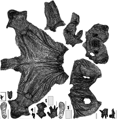 3D people model girl kids, scanned human for 3ds Max rendering, wireframe top-down view