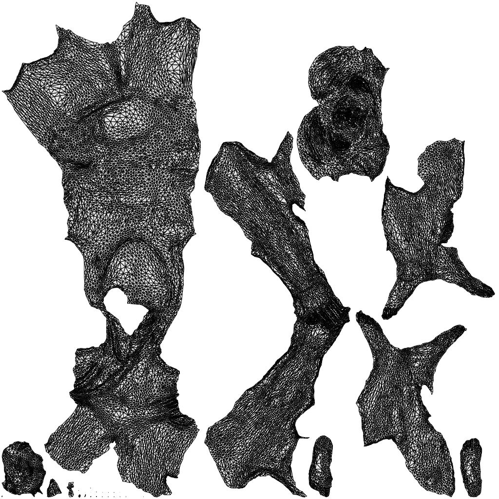 photogrammetry 3D woman sport pool, realistic human model archviz FBX, wireframe top-down view
