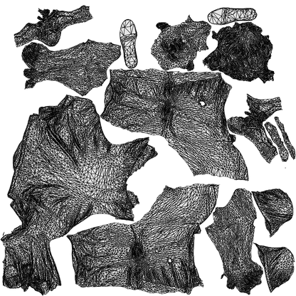 3D scanned man sitting casual, photorealistic archviz people for Enscape and SketchUp, wireframe top-down view