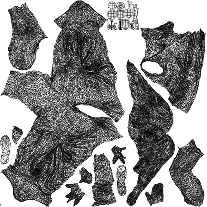 3D people model woman casual sitting, scanned human for 3ds Max rendering, wireframe top-down view