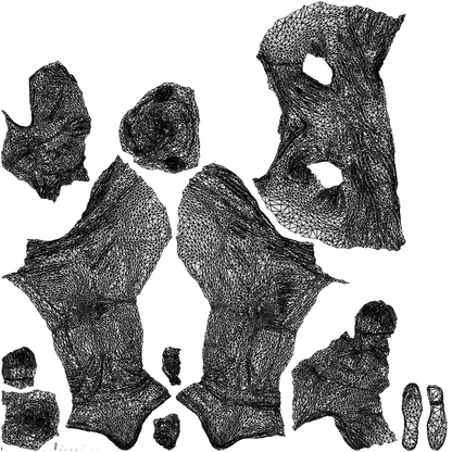 photogrammetry 3D man casual business, realistic human model archviz FBX, wireframe top-down view