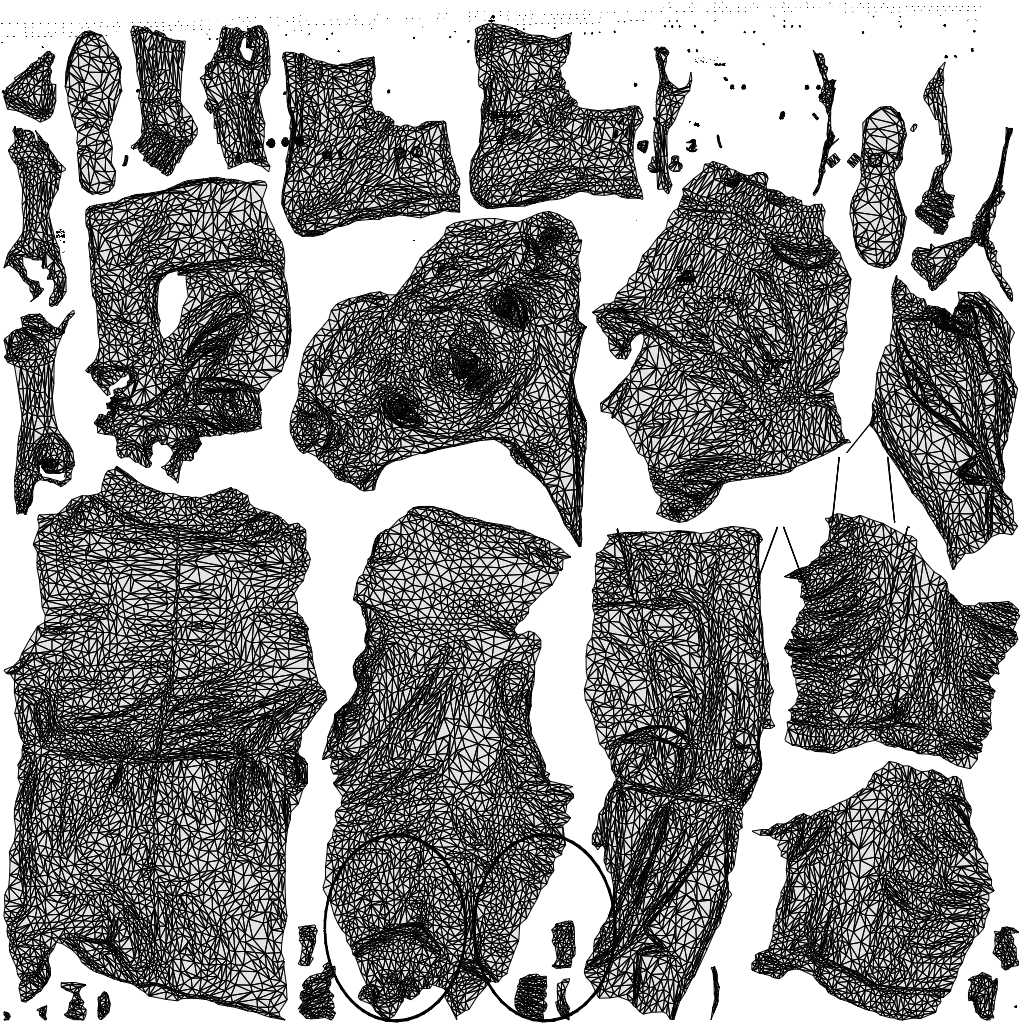 scanned 3D woman casual cycling, photogrammetry people for Enscape and V-Ray, wireframe top-down view