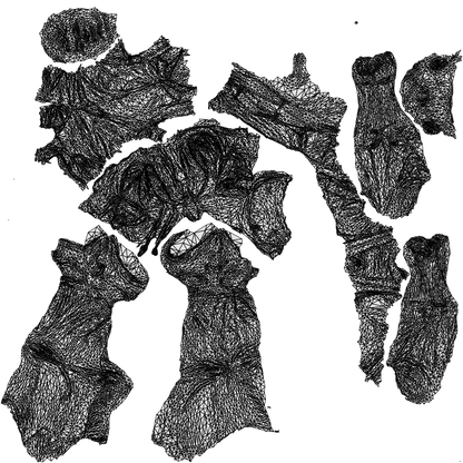 photogrammetry 3D man casual cycling, realistic human model archviz FBX, wireframe top-down view