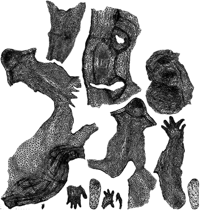 3D human model woman casual sitting, photogrammetry scanned person for archviz, wireframe top-down view