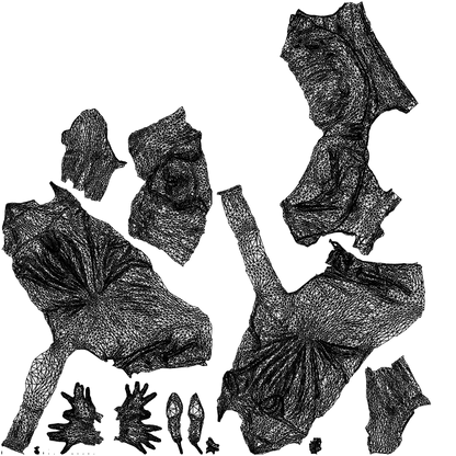 3D human model woman casual business, photogrammetry scanned person for archviz, wireframe top-down view
