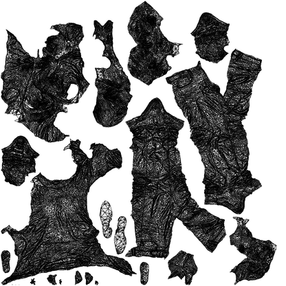 realistic 3D people boy casual kids, render-ready for V-Ray and Corona, FBX OBJ, wireframe top-down view