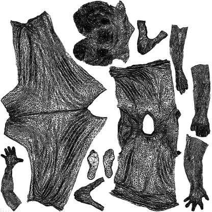 photogrammetry 3D woman bathroom, realistic human model archviz FBX, wireframe top-down view