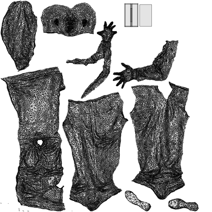 3D people model man walking, scanned human for 3ds Max rendering, wireframe top-down view