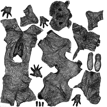 3D people model man business, scanned human for 3ds Max rendering, wireframe top-down view