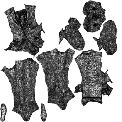 realistic 3D man business, scanned archviz people for Blender and 3ds Max, wireframe top-down view