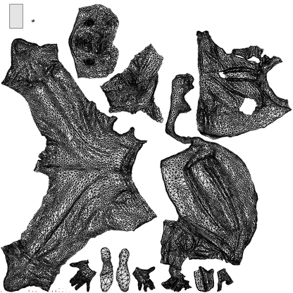 realistic 3D man business, scanned archviz people for Blender and 3ds Max, wireframe top-down view
