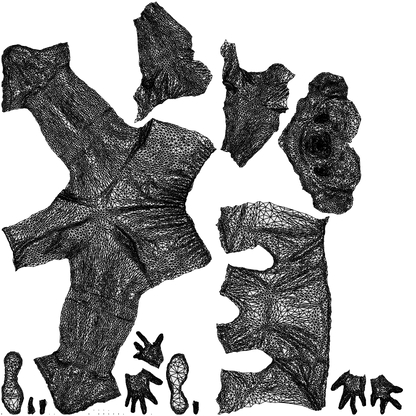 scanned 3D woman sport, photogrammetry people for Enscape and V-Ray, wireframe top-down view