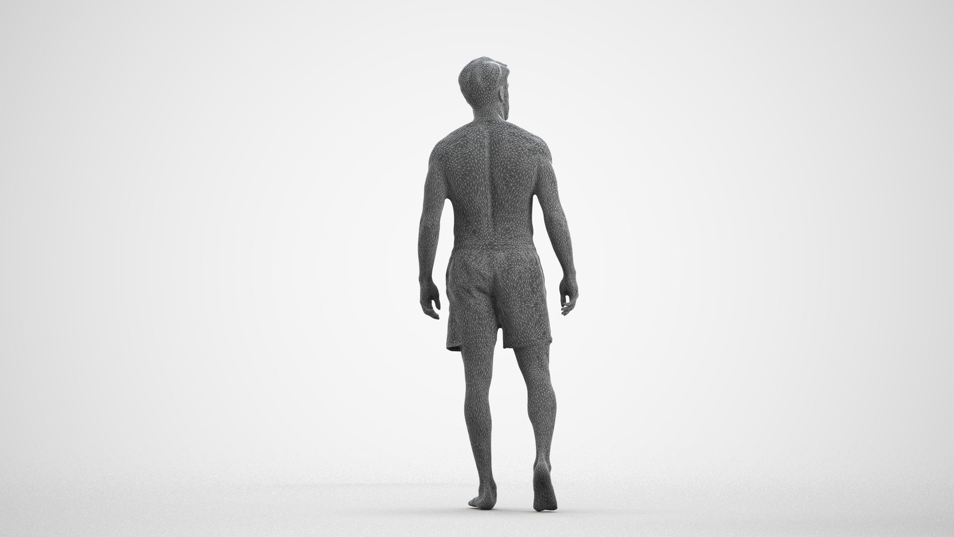 realistic 3D people man pool, render-ready for V-Ray and Corona, FBX OBJ, wireframe front view
