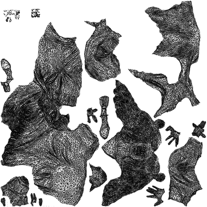 realistic 3D people woman casual sitting, render-ready for V-Ray and Corona, FBX OBJ, wireframe top-down view