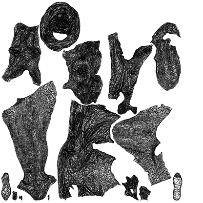 realistic 3D people woman sport, render-ready for V-Ray and Corona, FBX OBJ, wireframe top-down view