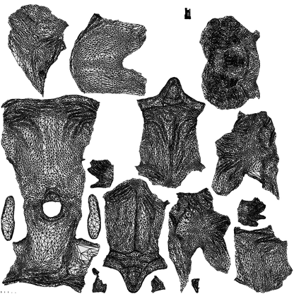 scanned 3D man casual sitting, photogrammetry people for Enscape and V-Ray, wireframe top-down view