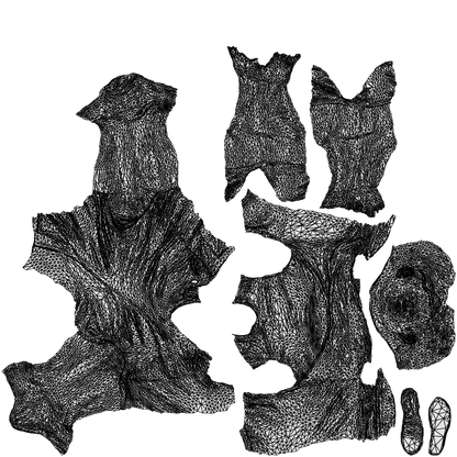3D human model man sport, photogrammetry scanned person for archviz, wireframe top-down view